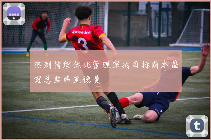 热刺持续优化管理架构目标前水晶宫总监弗里德曼